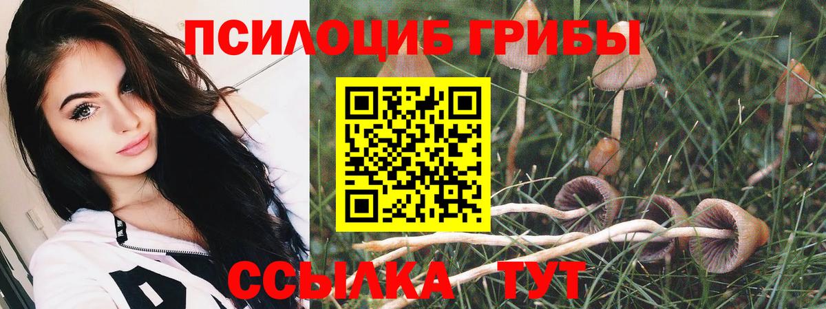 Галлюциногенные грибы Psilocybe  Галлюциногенные грибы прущие грибы  Вход с VPN  Лыткарино 